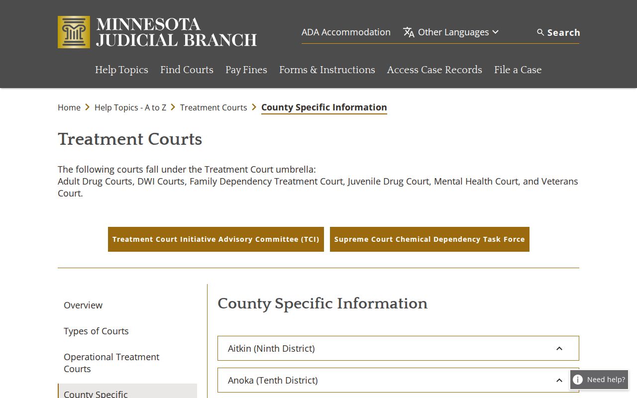 Aitkin County criminal docket related Minnesota treatment court information